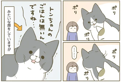 ご飯をもらえない顔しているけれど