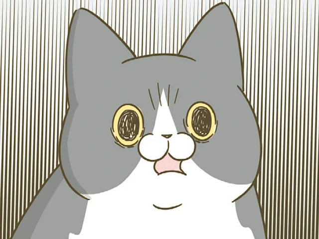 わがままな先輩猫がキャットフードを拒否！後輩猫に分け与えたら