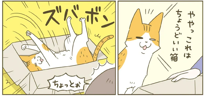 ややっこれは…