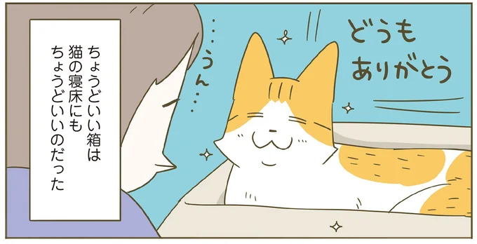 ちょうどいい箱は猫にもちょうどいい
