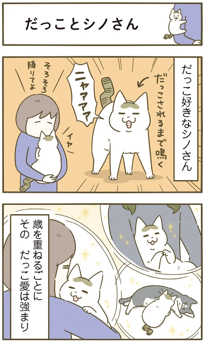 だっこ好きなシノさん