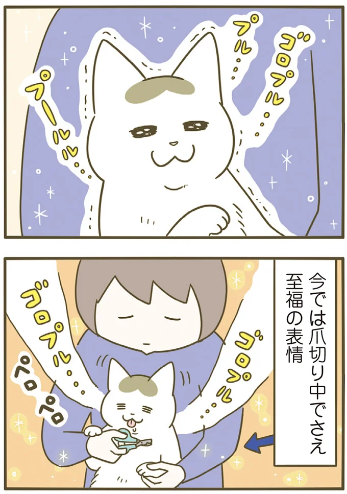 爪切り中でさえ