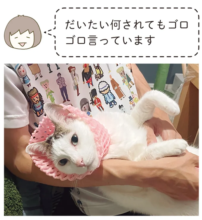 だいたい何されても