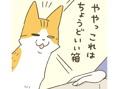 これはちょうどいい箱
