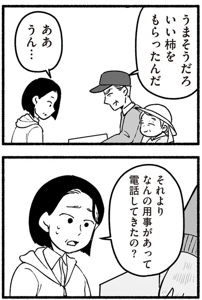 いい柿をもらったんだ