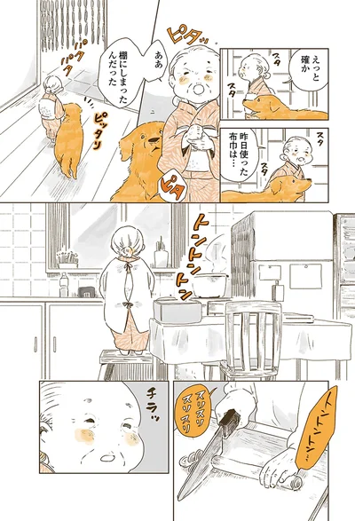 『姫ばあちゃんとナイト 』より