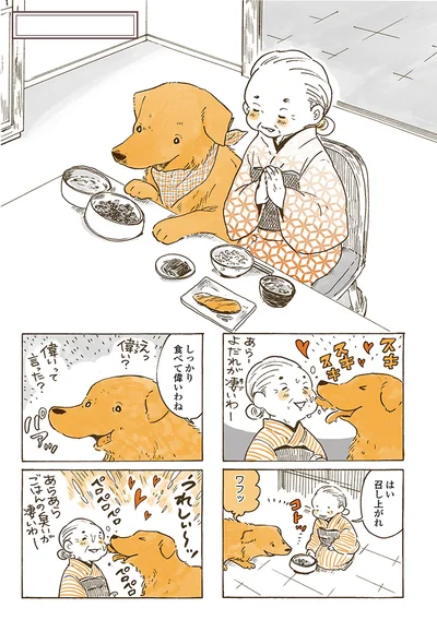 『姫ばあちゃんとナイト 』より