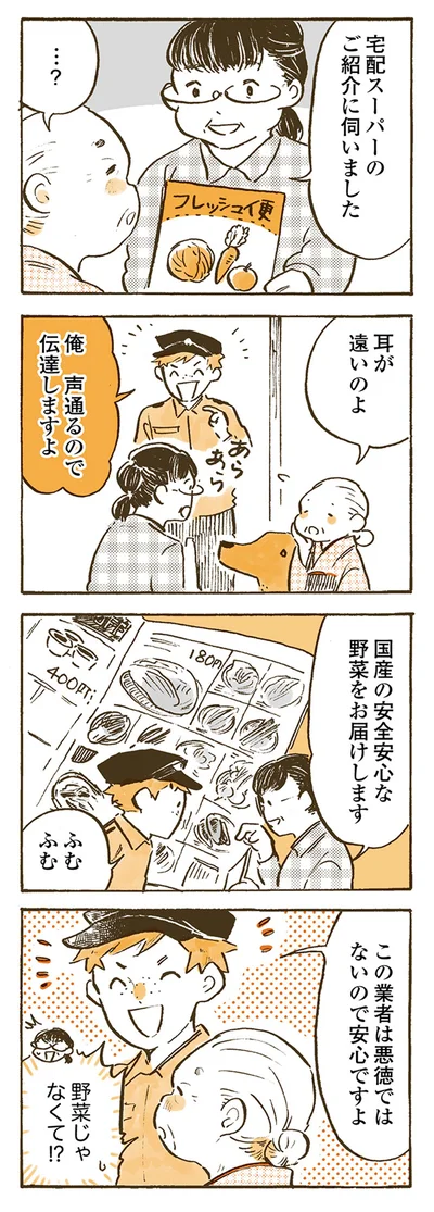 『姫ばあちゃんとナイト 』より