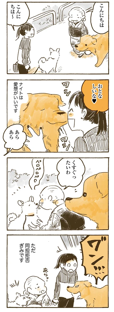 ナイトは愛想がいいです