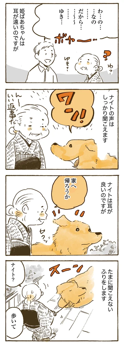 ナイトの声はしっかり聞こえます