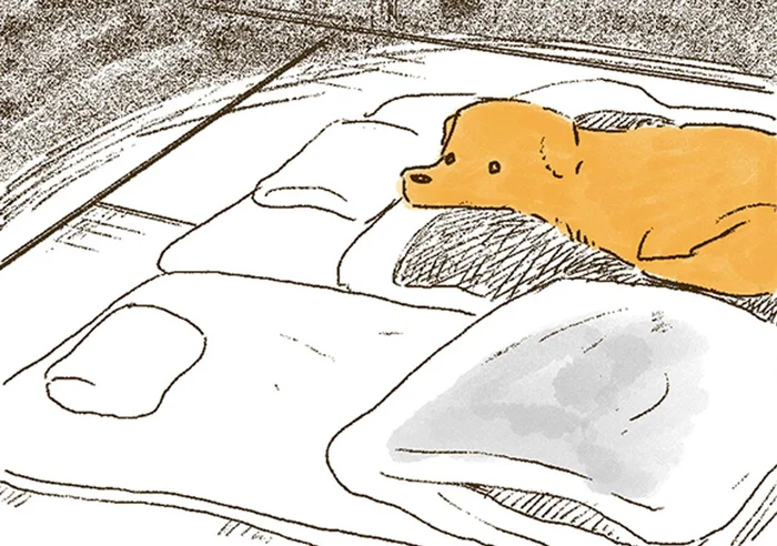 起きたらおばあちゃんがいない！慌てふためくレトリバーの一途さ