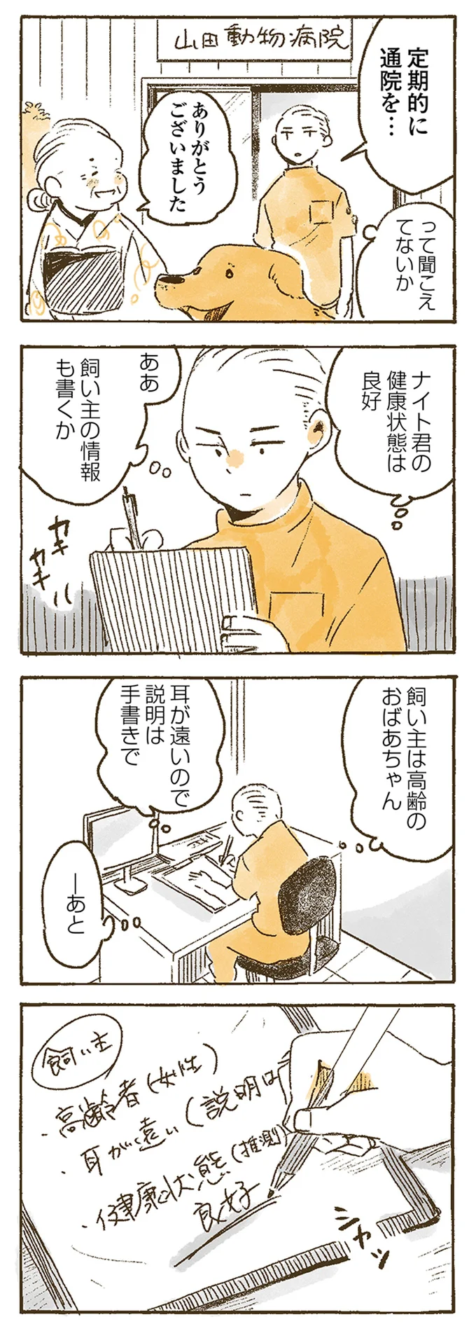 ナイト君の健康状態は良好