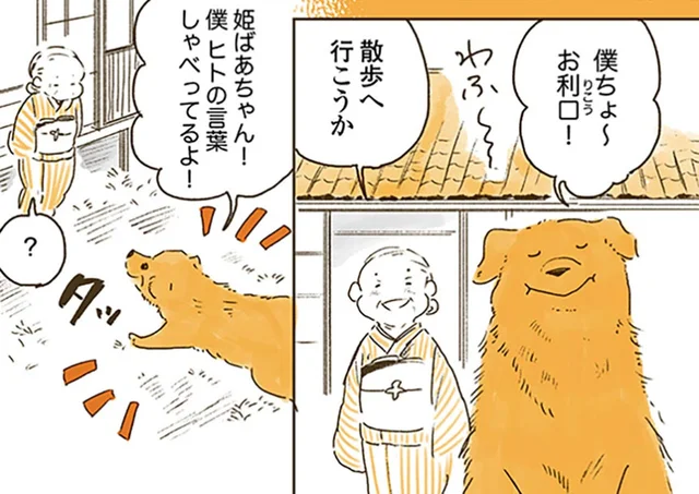 夢の中でなら話せる？レトリバーがおばあちゃんに届けたかった想いに涙