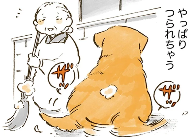 お茶も掃除も、気づけばシンクロ！息の合ったおばあちゃんとレトリバー