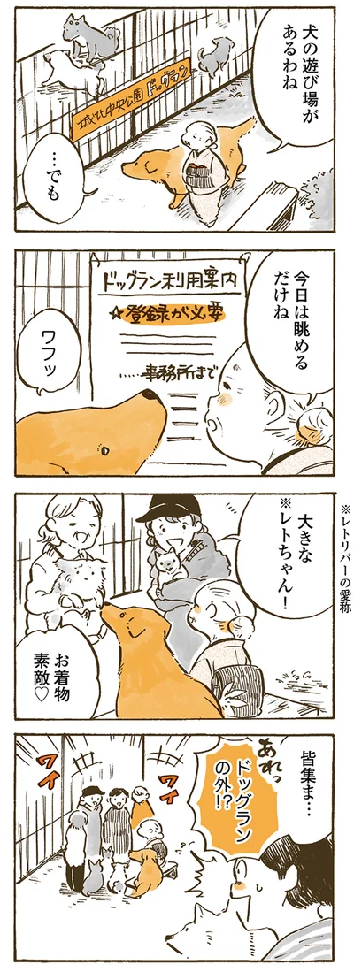 今日は眺めるだけね