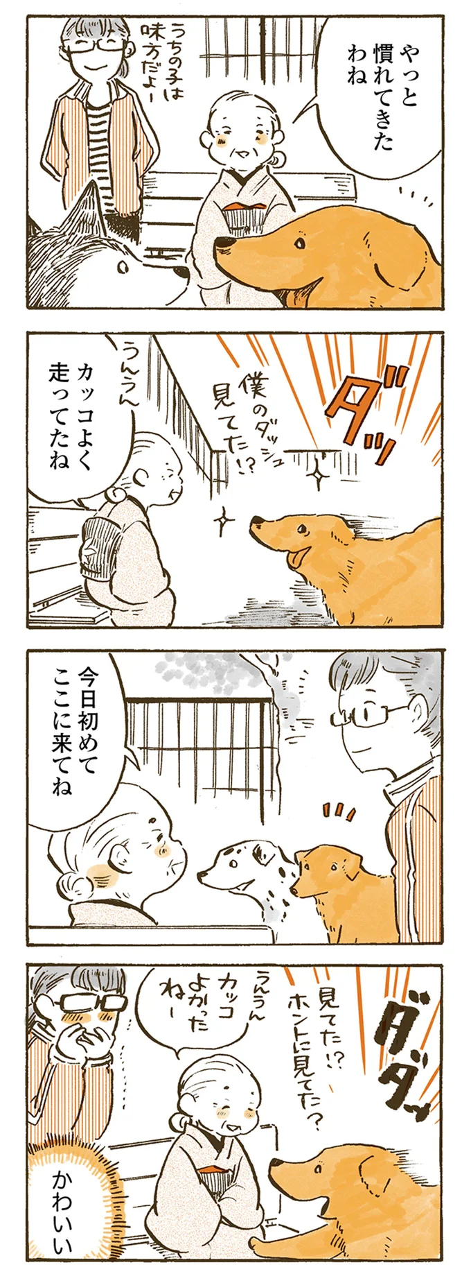 カッコよく走ってたね