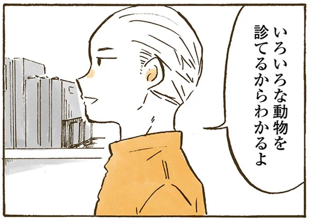 診察が苦手なレトリバー。愛情深い獣医さんの、心温まる診察