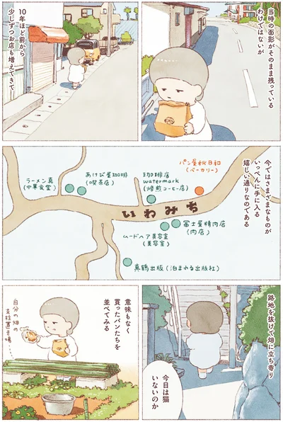 今日は猫いないのか