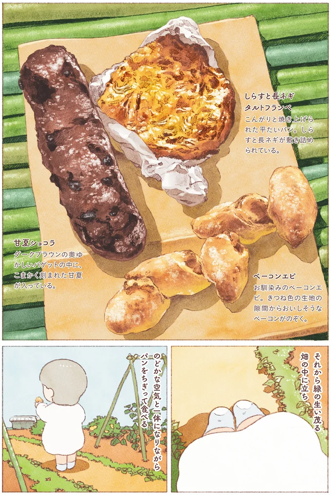 緑の生い茂る畑の中に立ち