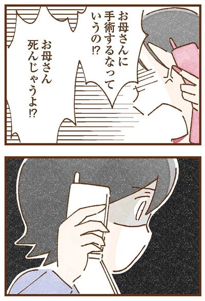 『私の人生を食べる母』より