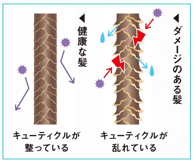 ダメージのある髪と健康な髪