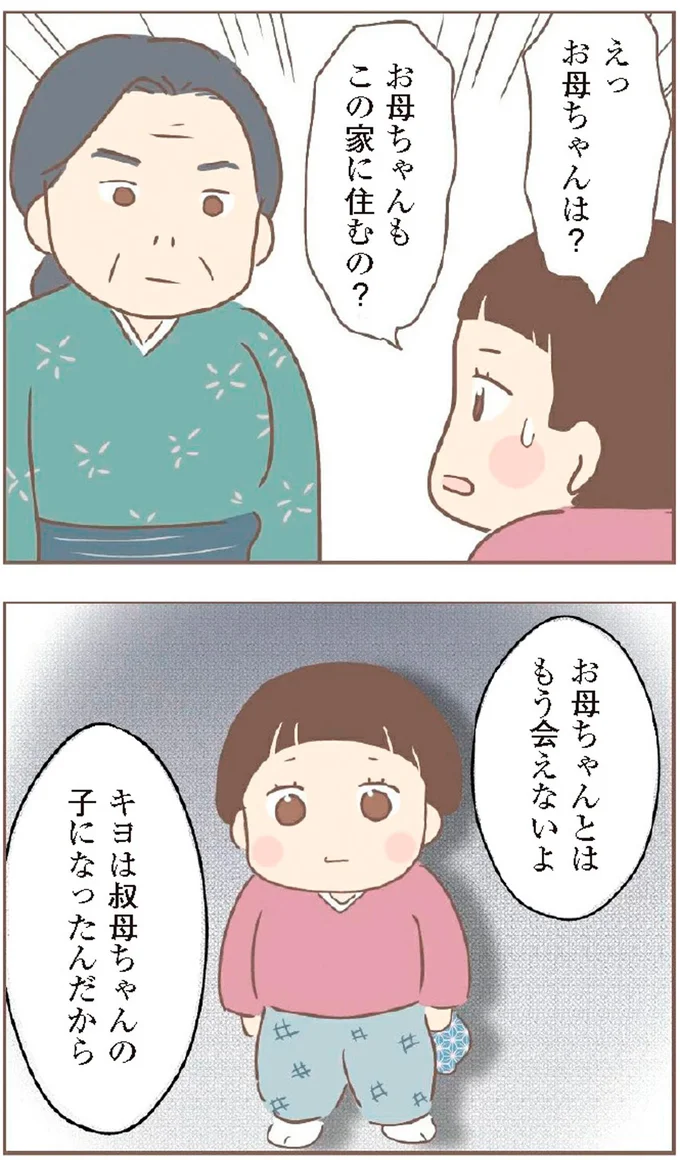 お母ちゃんとはもう会えないよ