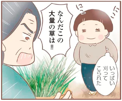 なんだこの大量の草は！！