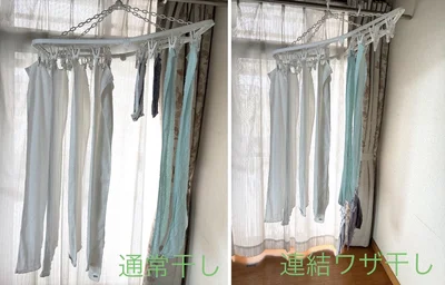通常干しと連結干しを比べると…？（▶次へ）