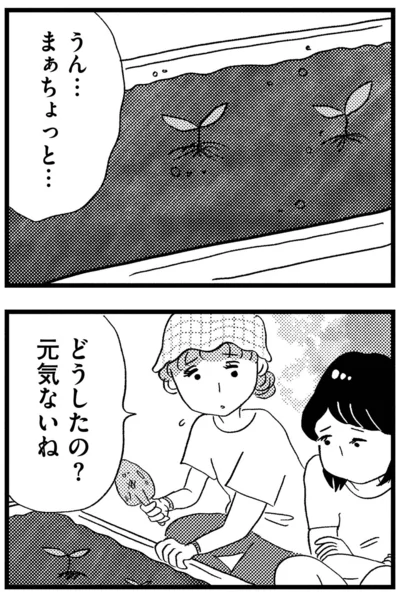 『この街の誰かに嫌われています』より
