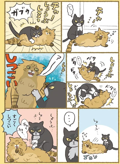 『犬猫３匹、撫でても撫でても手が足りない』より