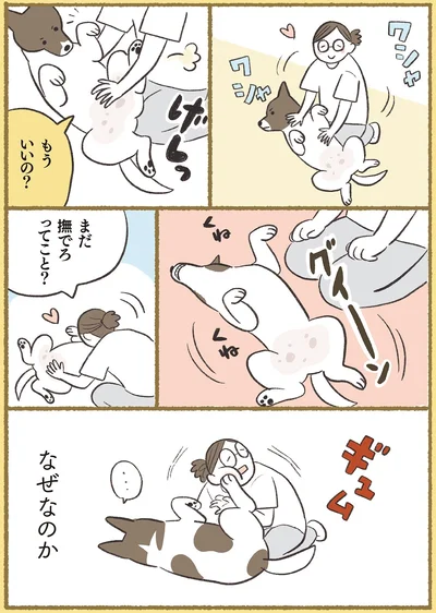 『犬猫３匹、撫でても撫でても手が足りない』より