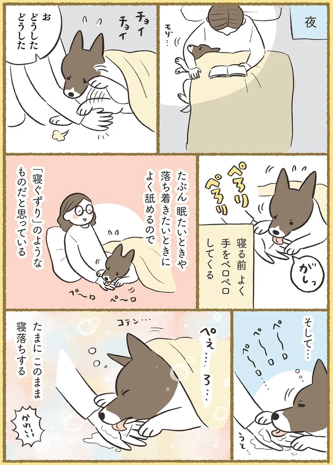 『犬猫３匹、撫でても撫でても手が足りない』より