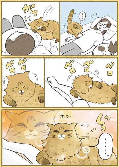 『犬猫３匹、撫でても撫でても手が足りない』より