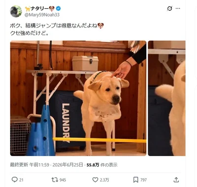 2万いいね！を超える話題になった投稿です▶クセが強いのは足だけじゃない！！（⇒次へ）