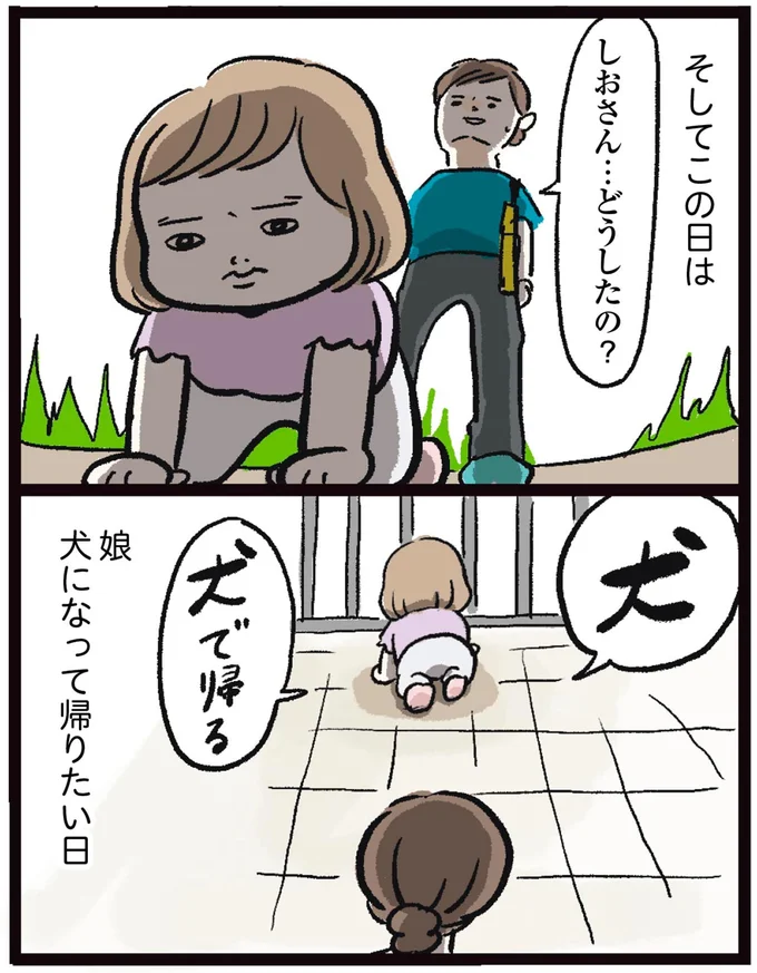 犬で帰る