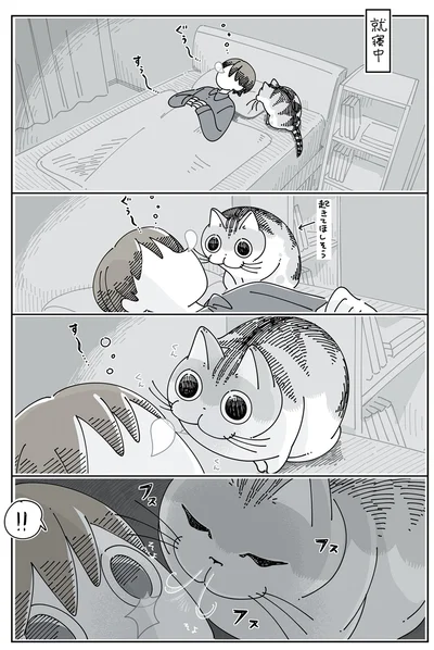 鼻息で起こすネコ