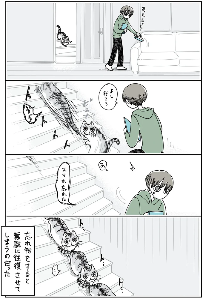 『夜は猫といっしょ5』より