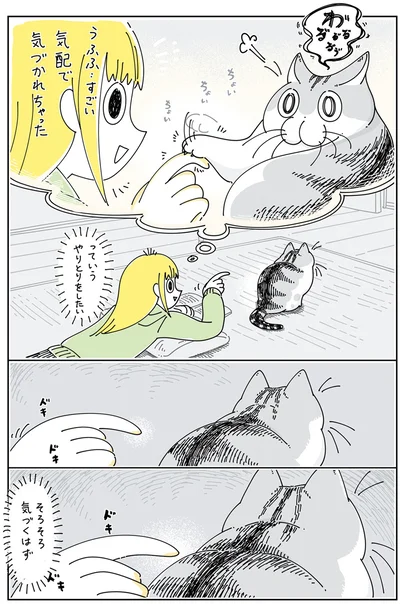 『夜は猫といっしょ5』より