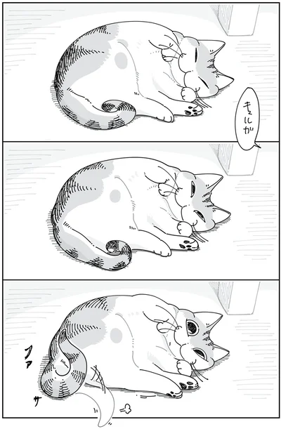 『夜は猫といっしょ5』より