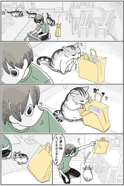 『夜は猫といっしょ5』より