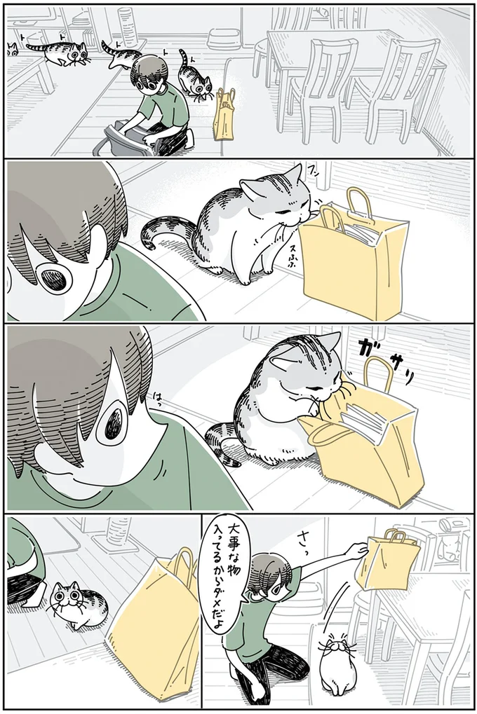『夜は猫といっしょ5』より