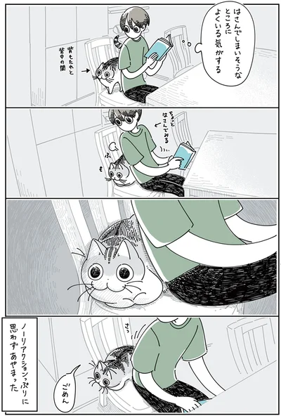 『夜は猫といっしょ5』より