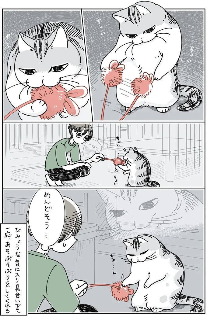 『夜は猫といっしょ5』より