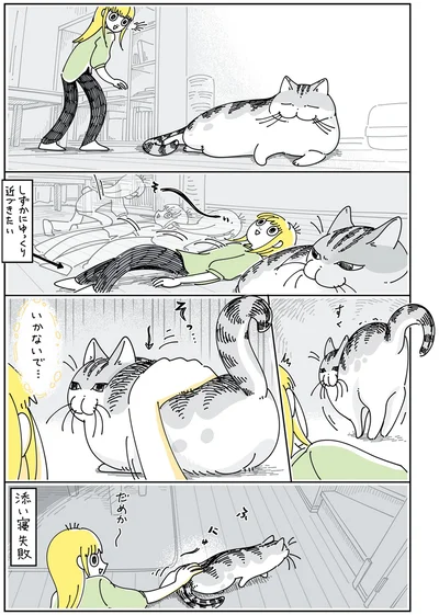 『夜は猫といっしょ5』より