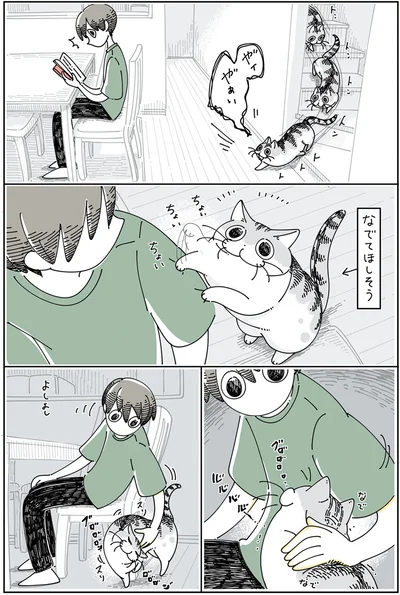『夜は猫といっしょ5』より