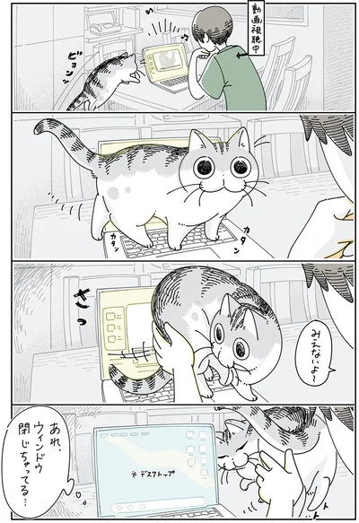 『夜は猫といっしょ5』より