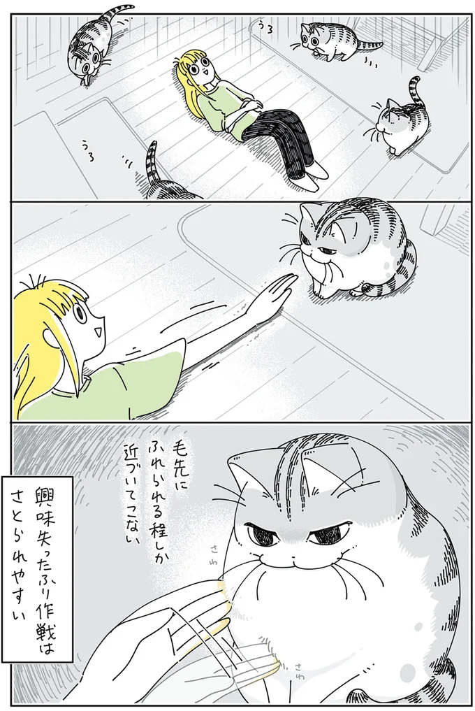 『夜は猫といっしょ5』より