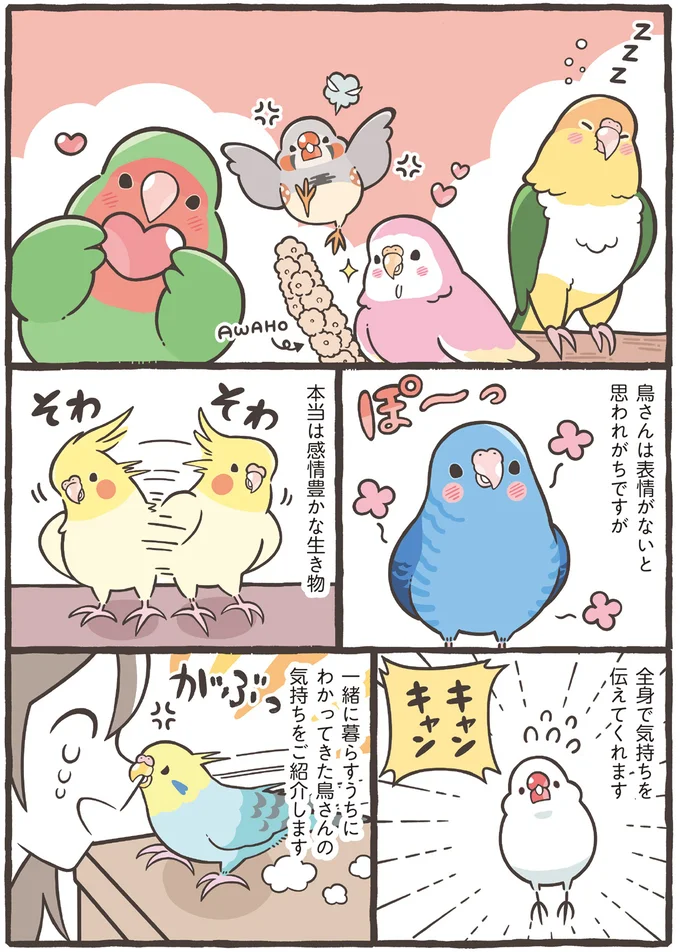『トリ扱い説明書』より