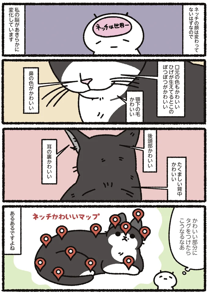 『あっち こっち ネッチ！』より