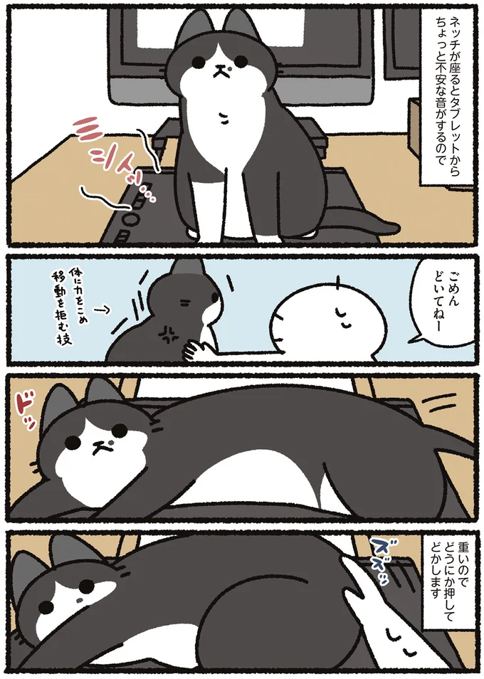 『あっち こっち ネッチ！』より